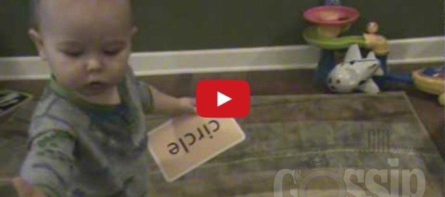 What this clever baby can do is mind-blowing — He is basically a genius