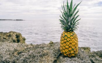 13 Benefits of pineapple for better health