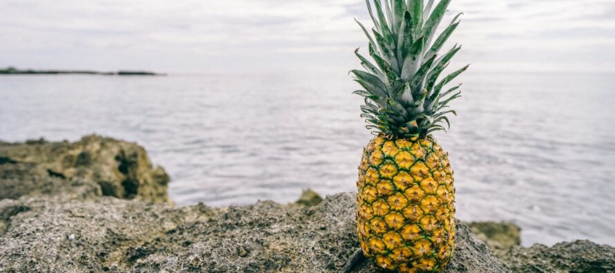 13 Benefits of pineapple for better health