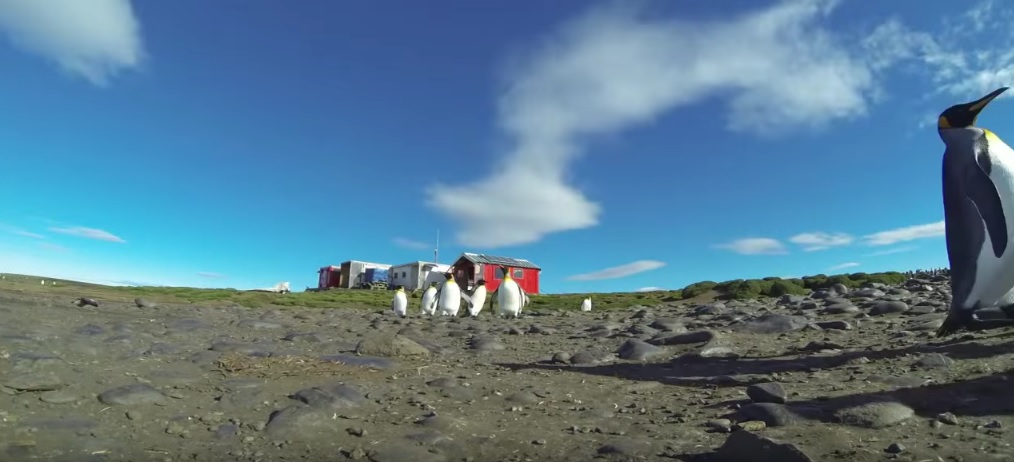 kerguelen island ohmygossip