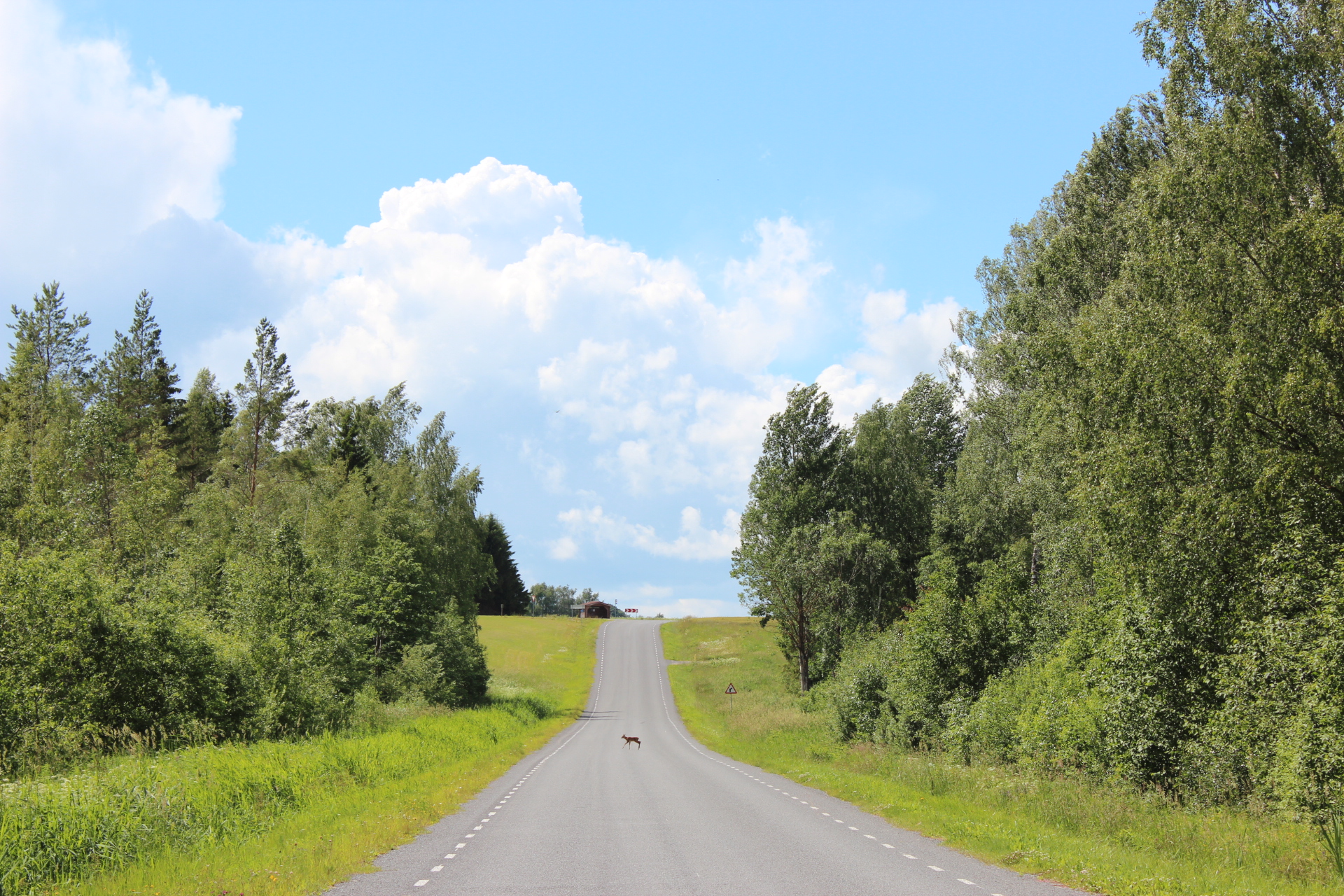 Viljandi