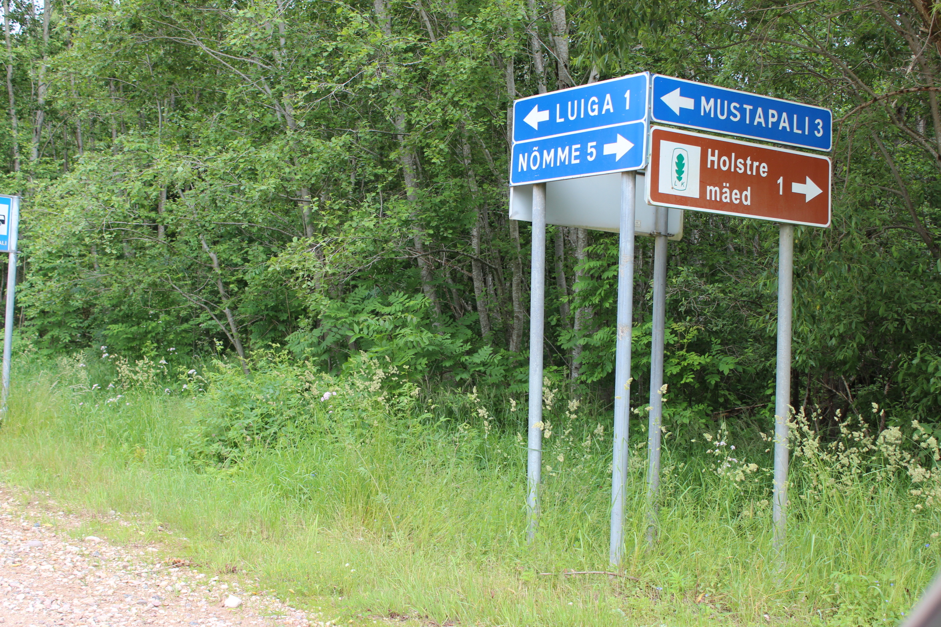 Viljandi