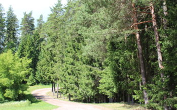 Helena-Reet: Vacation (vol4) – Visiting lake Võrtsjärv, Paistu Cemetery and Männiku Metsatalu in Intsu village