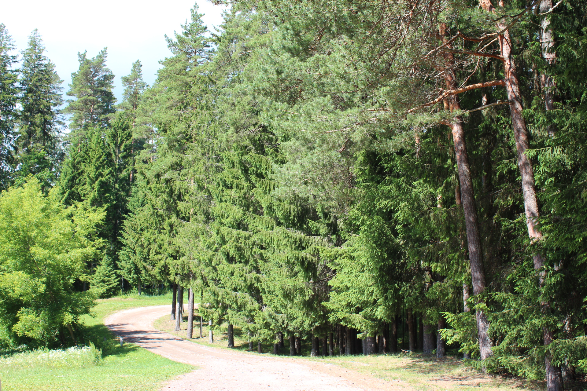 Viljani, Estonia