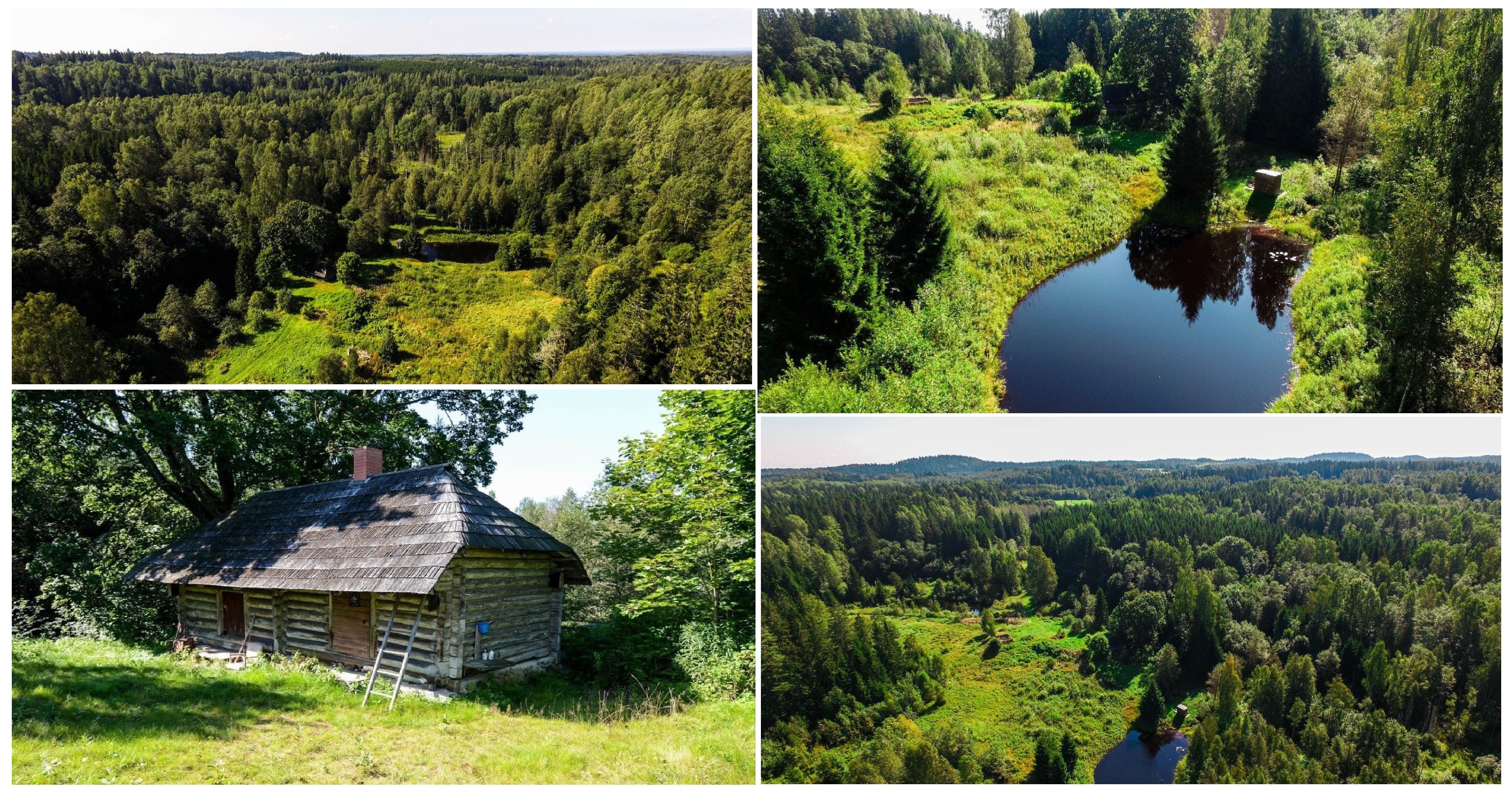 loodus nature