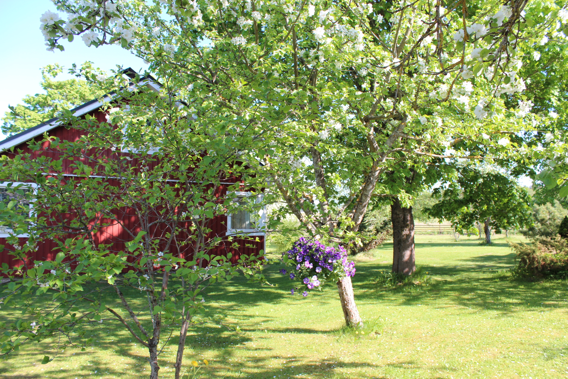home, country